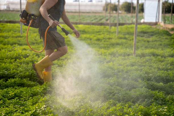 Reliable Fate, TX Pest Control Solutions