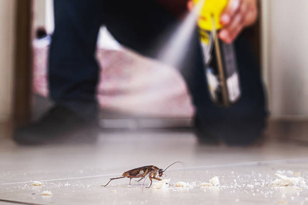 Best Affordable Pest Control Services  in Fate, TX